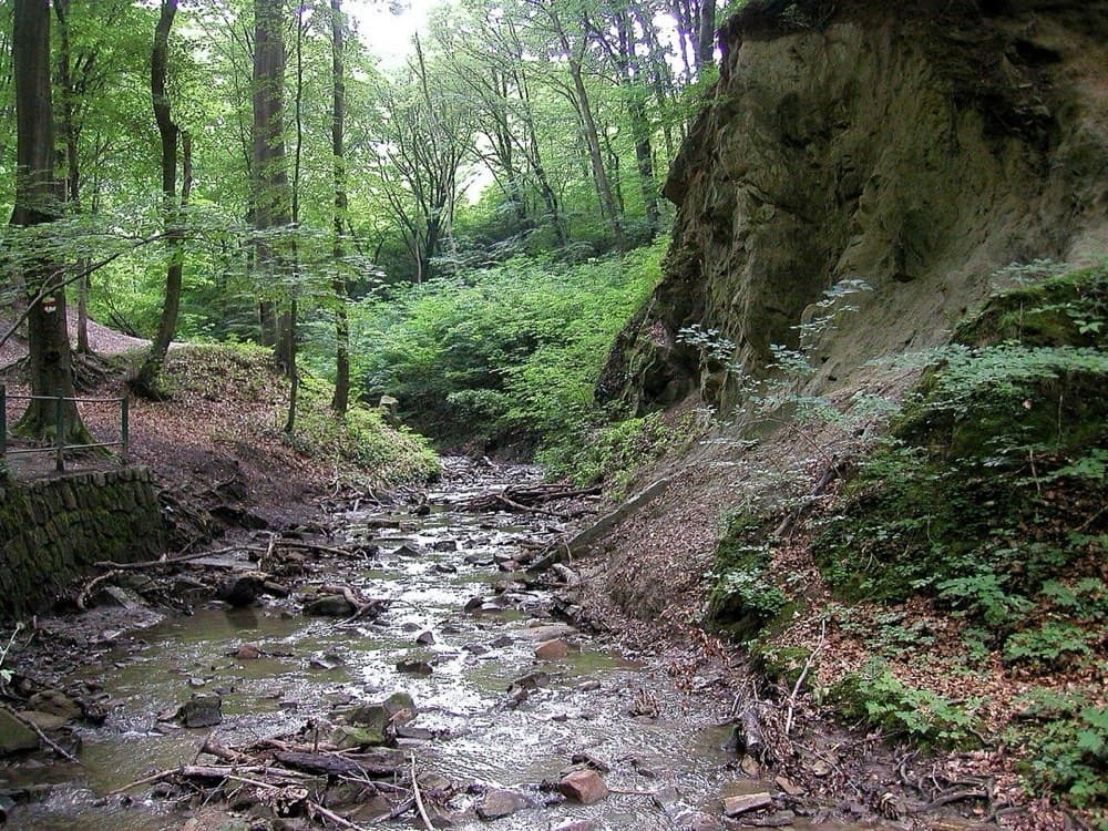 hagenbachklamm
