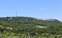 Bewaldeter Kahlenberg mit Sendemast und Gebäuden am Gipfel