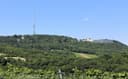 kahlenberg leopoldsberg