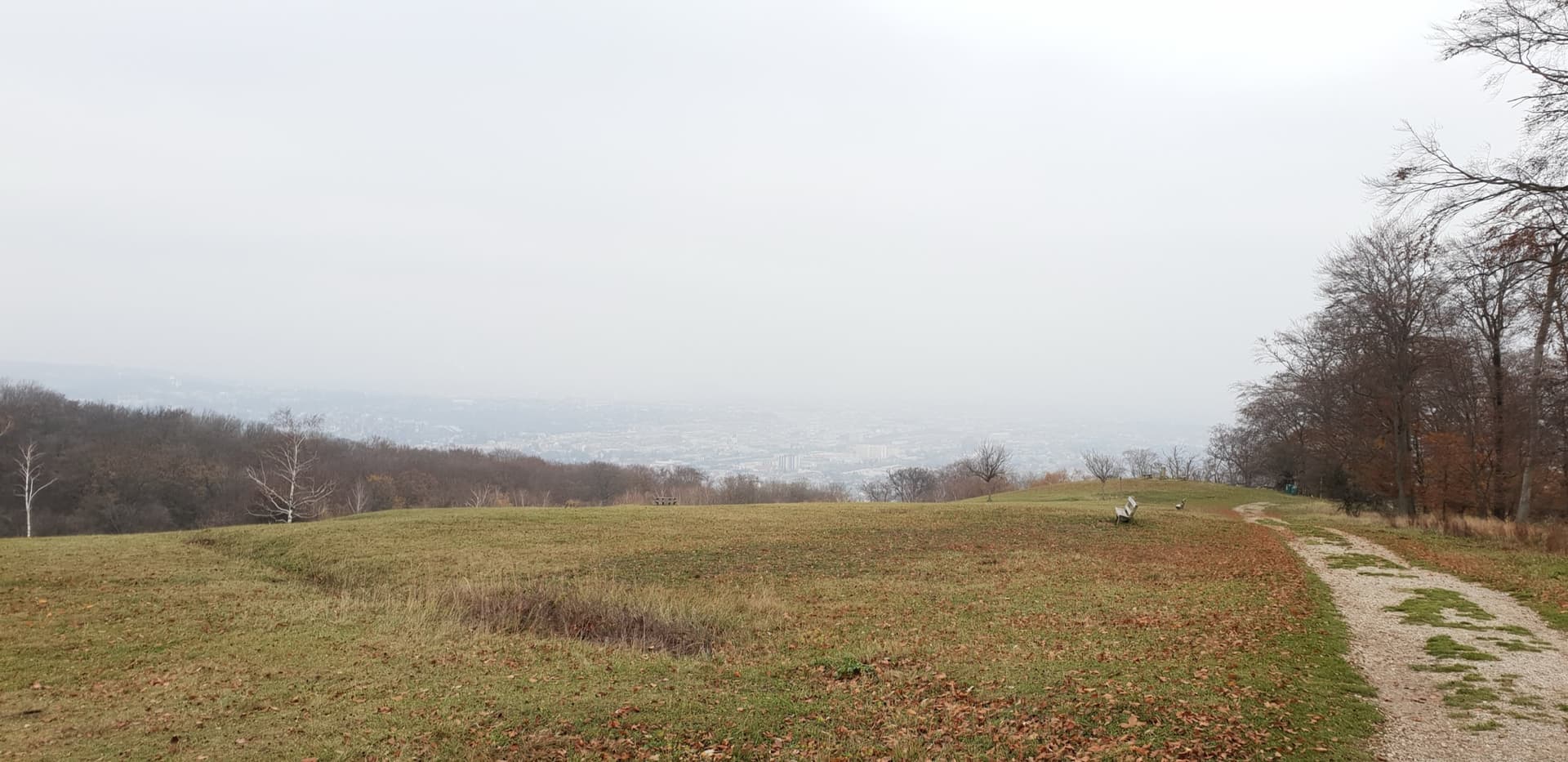 Panoramablick vom Lainzer Tiergarten über Wien