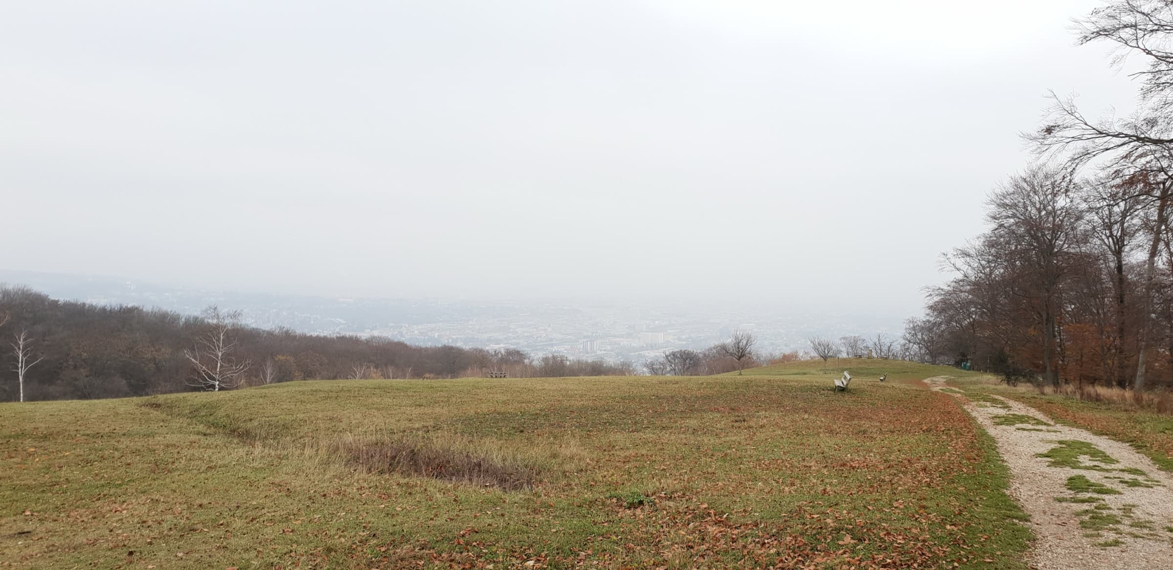 Panoramablick vom Lainzer Tiergarten über Wien