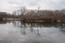 Lobau - See