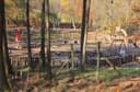 naturpark sparbach