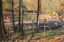 Spielplatz im Naturpark Sparbach zwischen Bäumen mit Herbstlaub