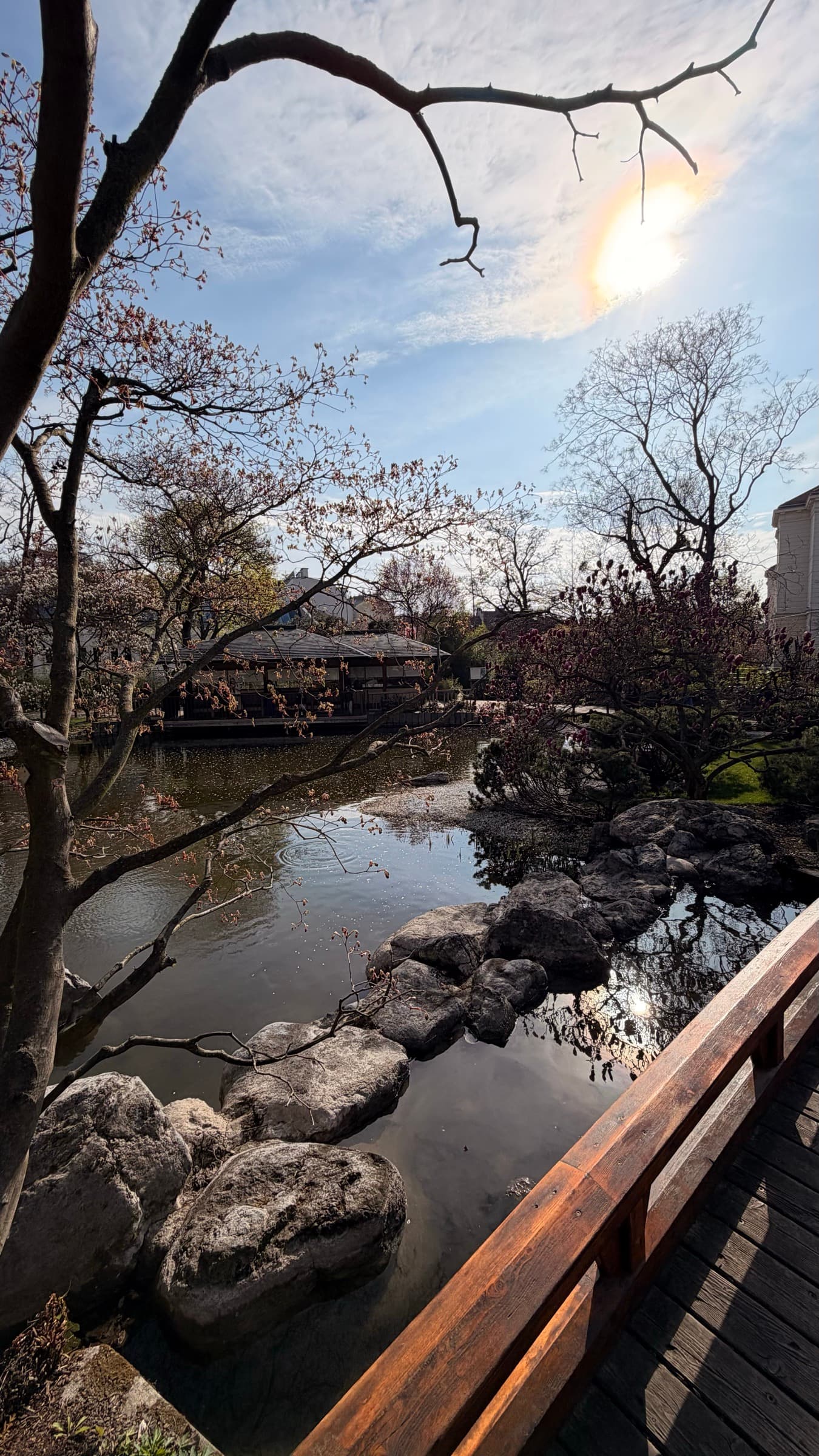 Setagayapark japanischer Garten