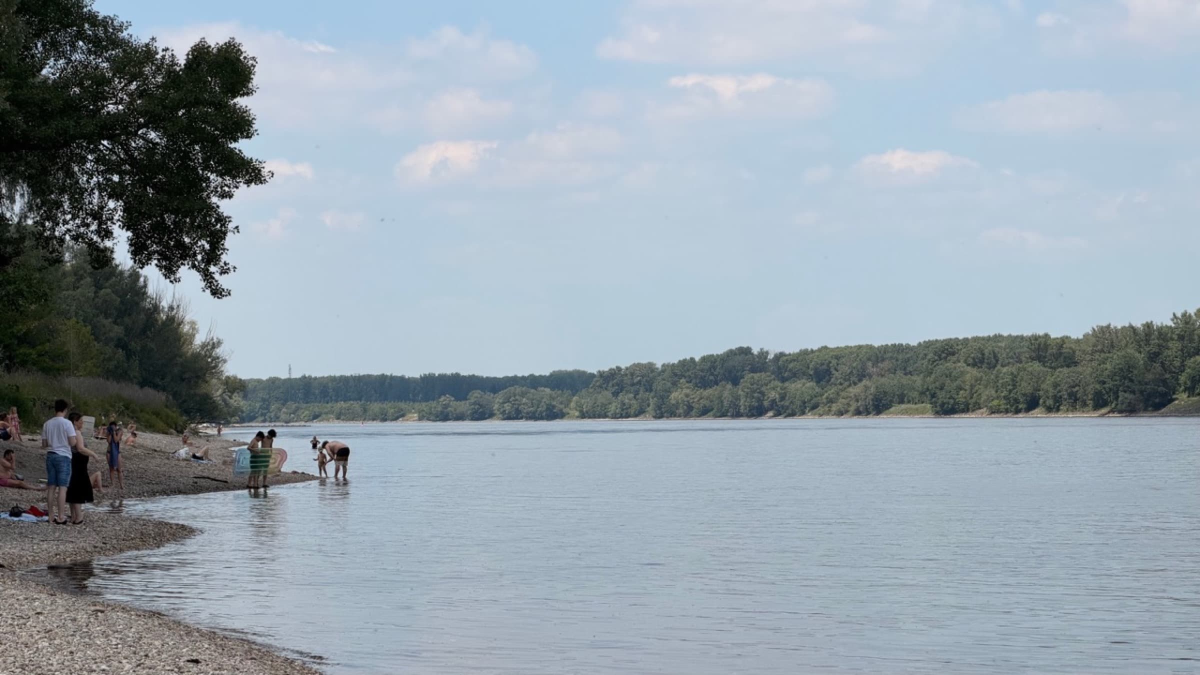 Donauufer beim Strombad Kritzendorf mit Badenden