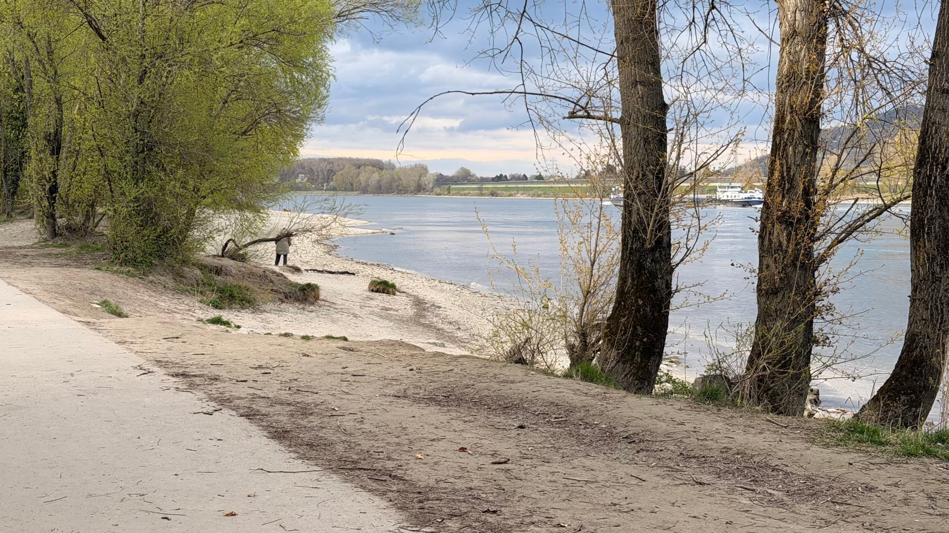 Treppelweg an der Donau bei Klosterneuburg mit Hund