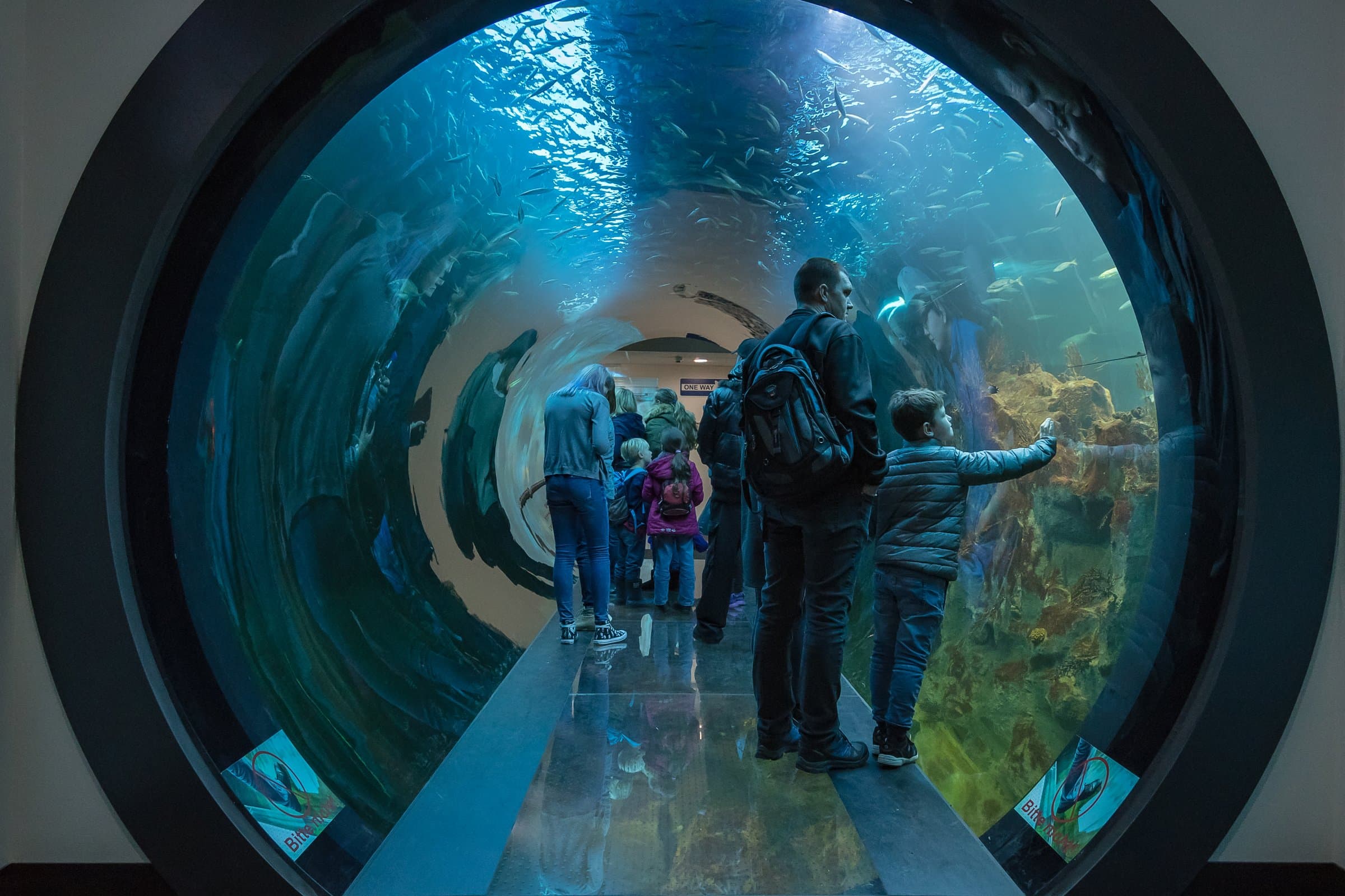 Haus des Meeres Wien - Aquarium und Tropenhaus im Flakturm
