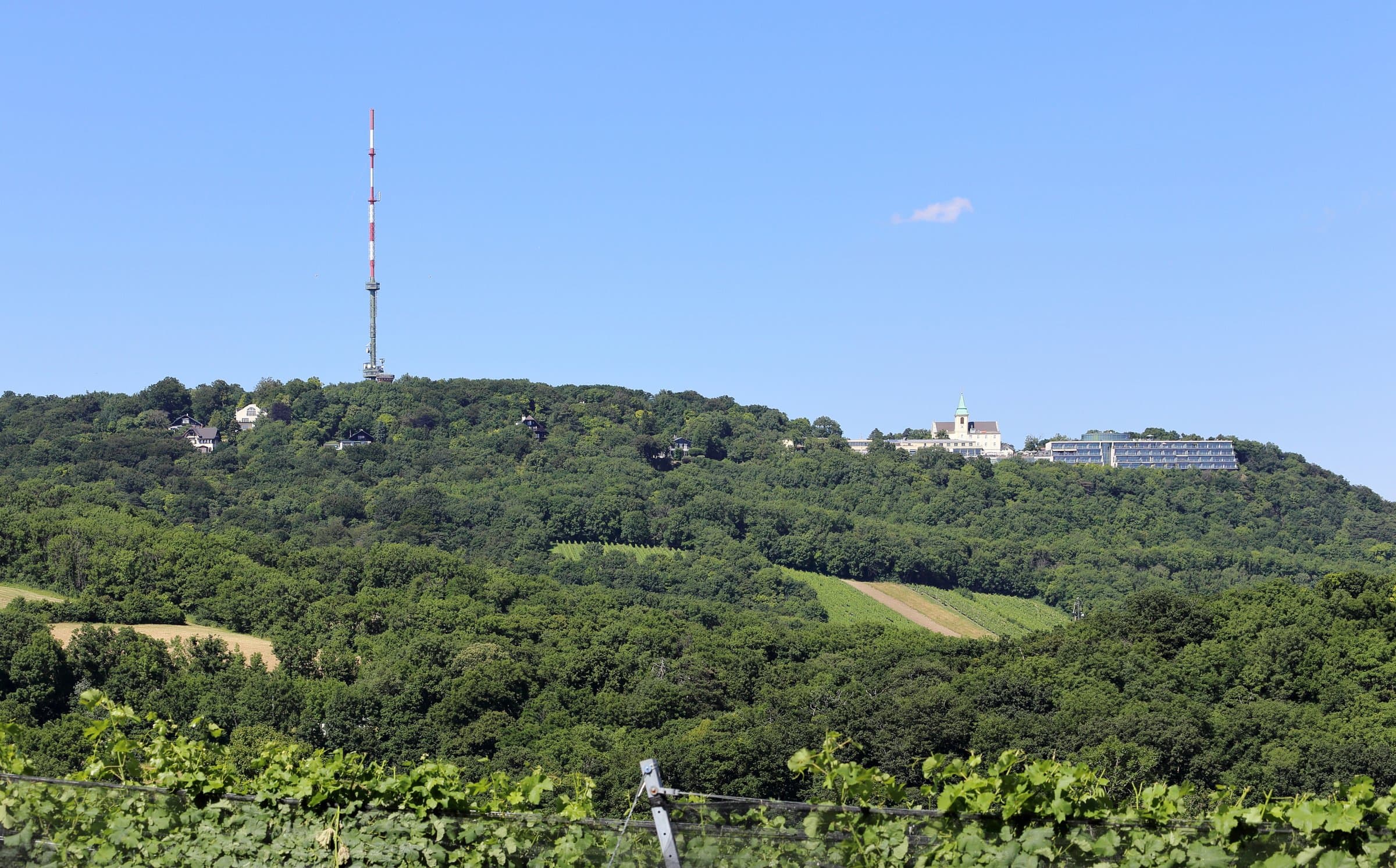 Bewaldeter Kahlenberg mit Sendemast und Gebäuden am Gipfel