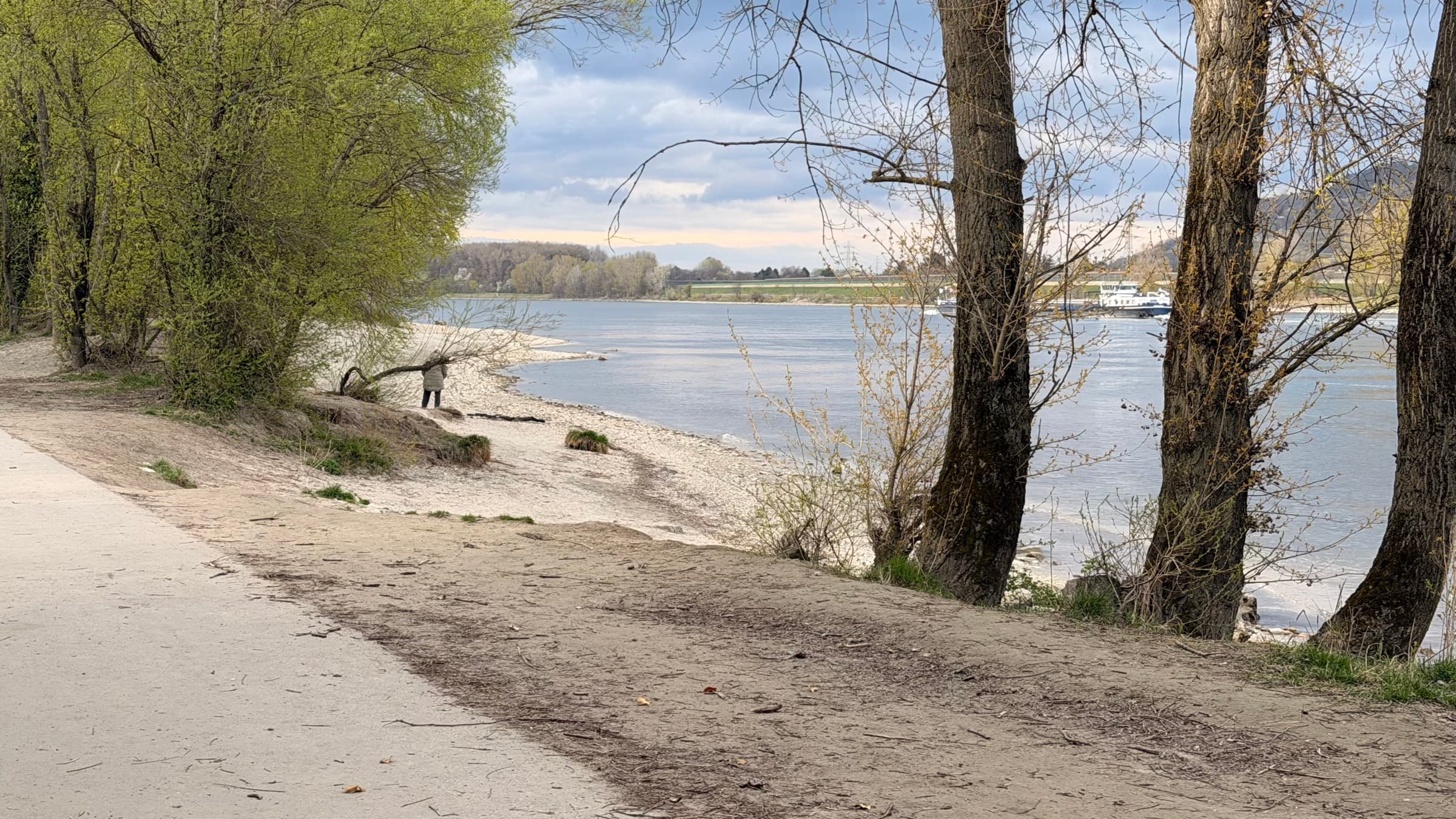 Treppelweg an der Donau bei Klosterneuburg mit Hund