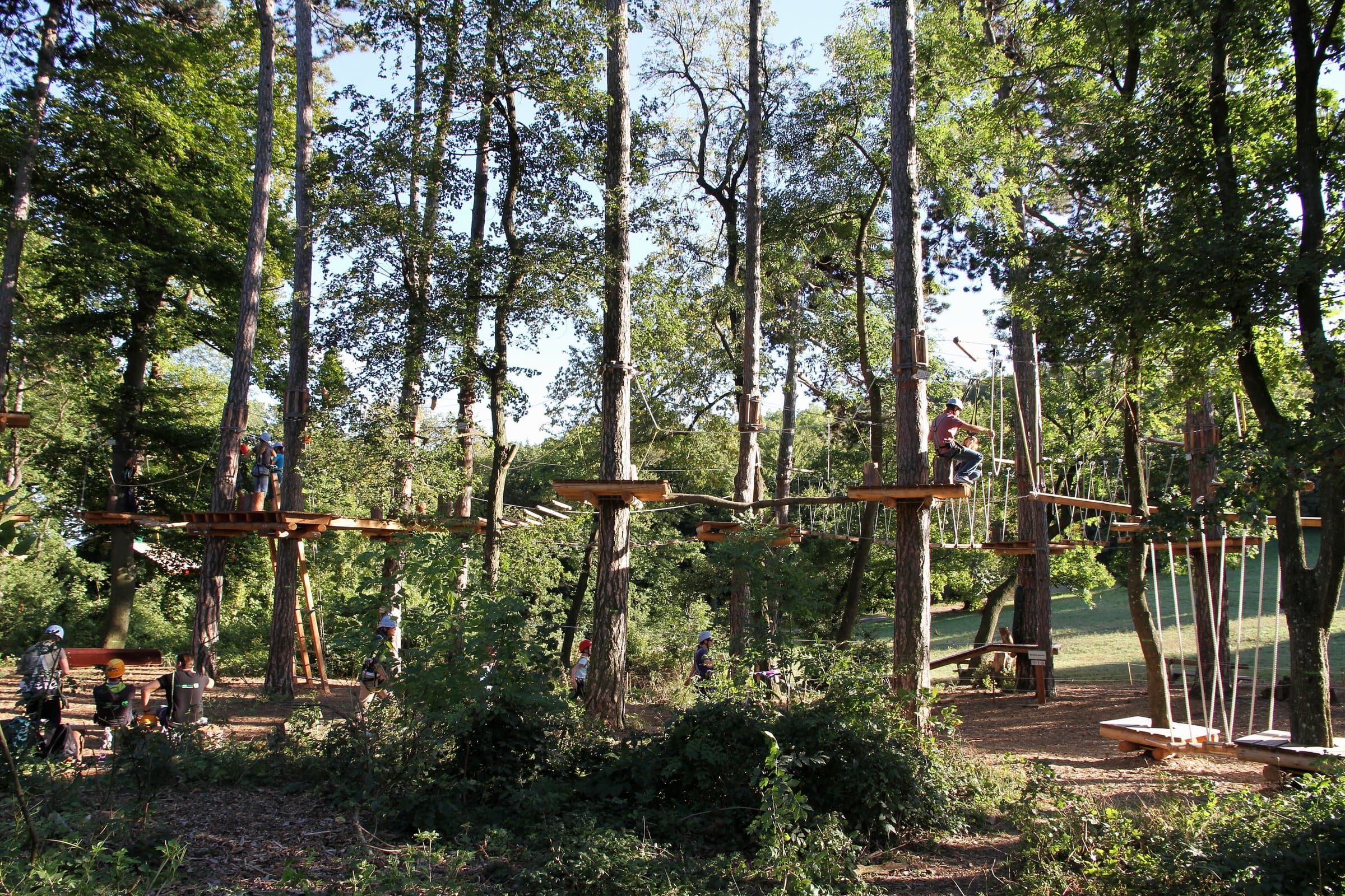 Seilparcours mit Holzplattformen und Hängeelementen zwischen Bäumen am Kahlenberg