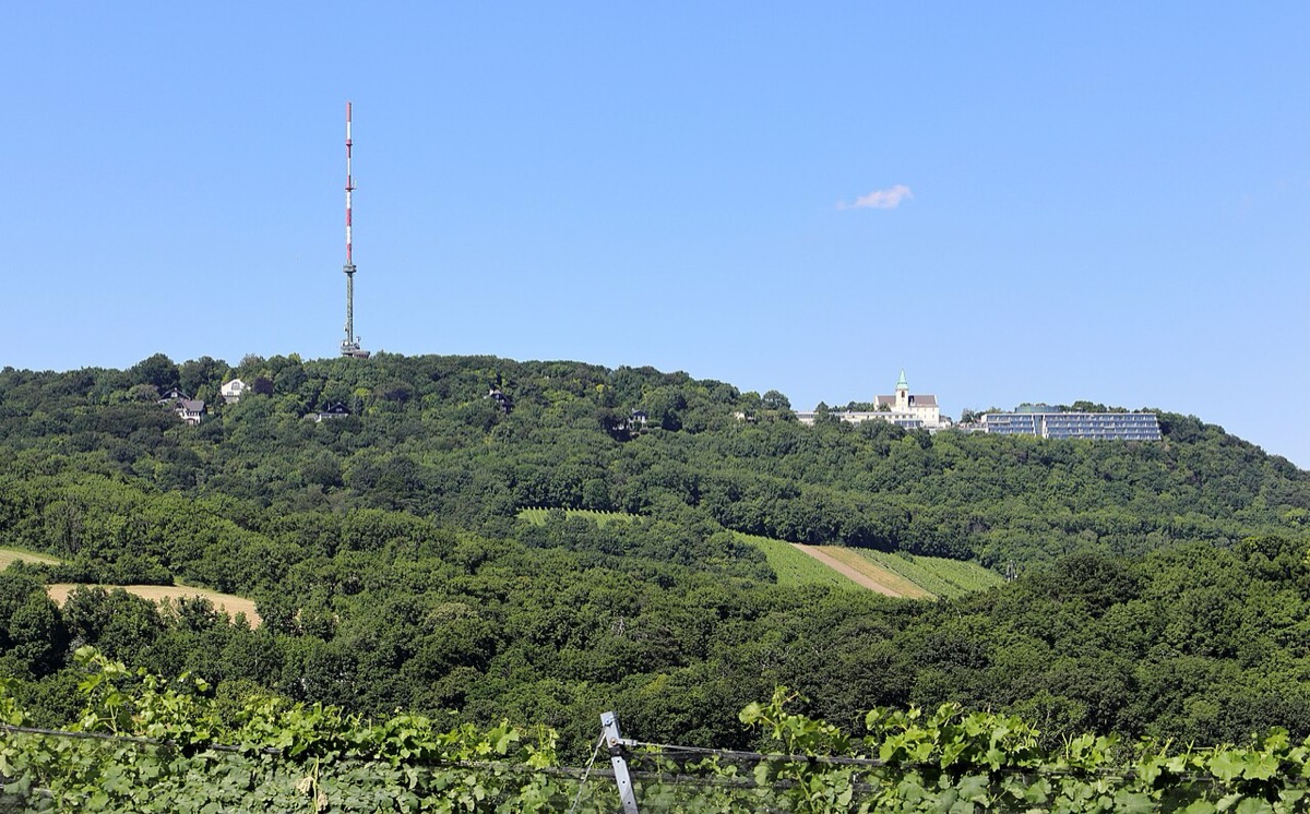 kahlenberg leopoldsberg