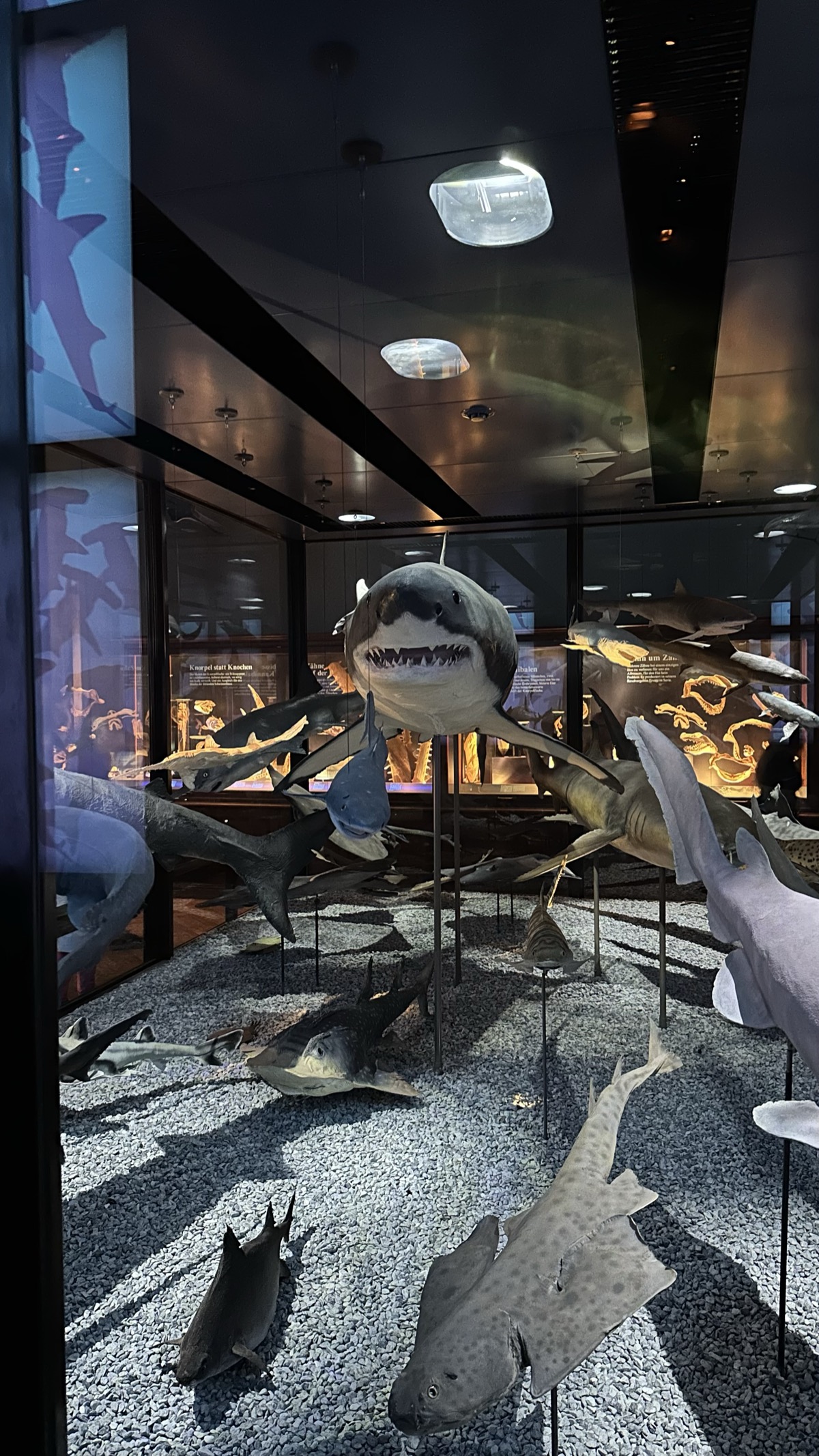 Naturhistorisches Museum Wien